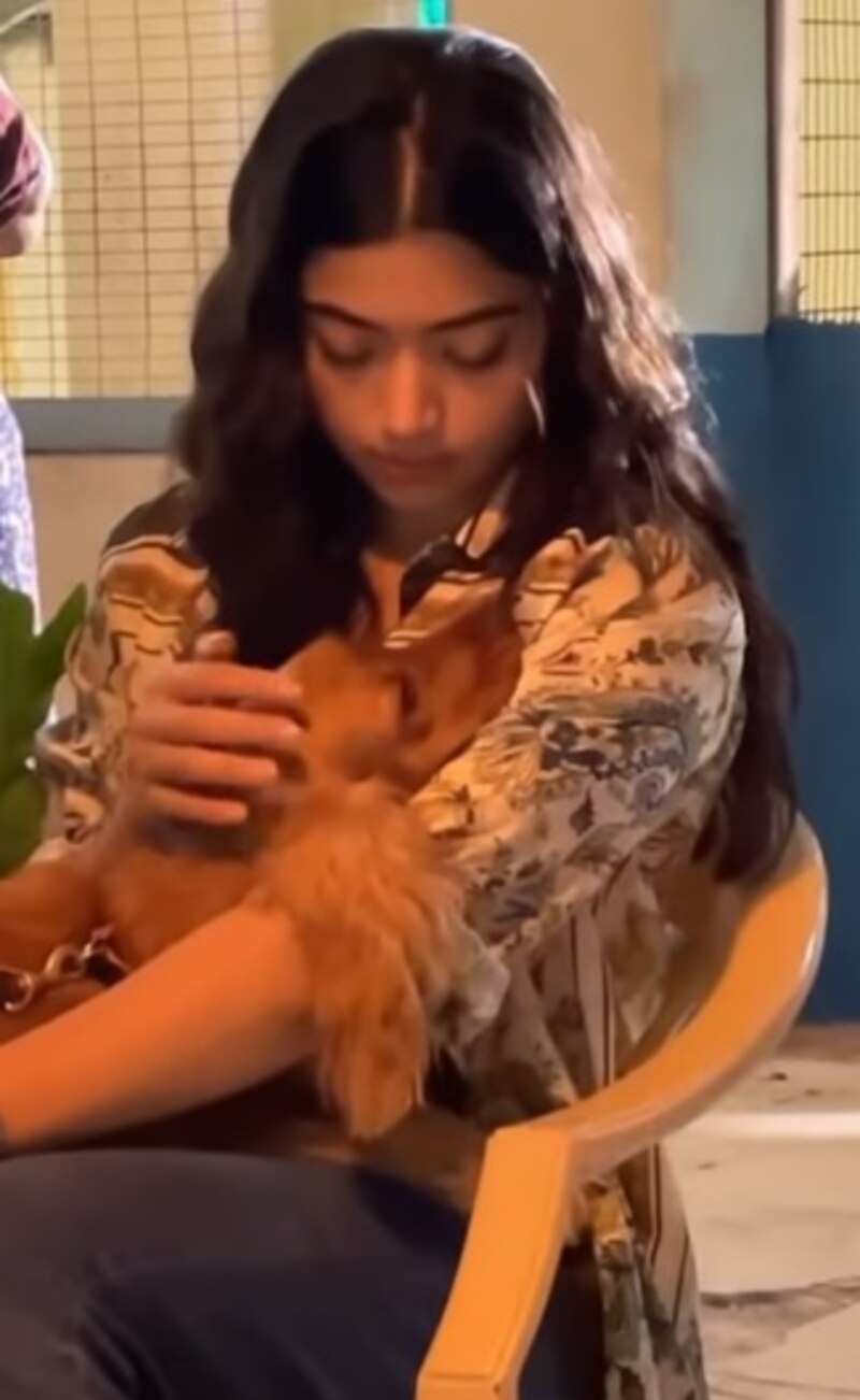 Rashmika cute kiss video