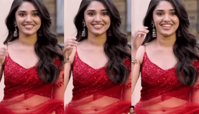 Krithishetty in the airport video