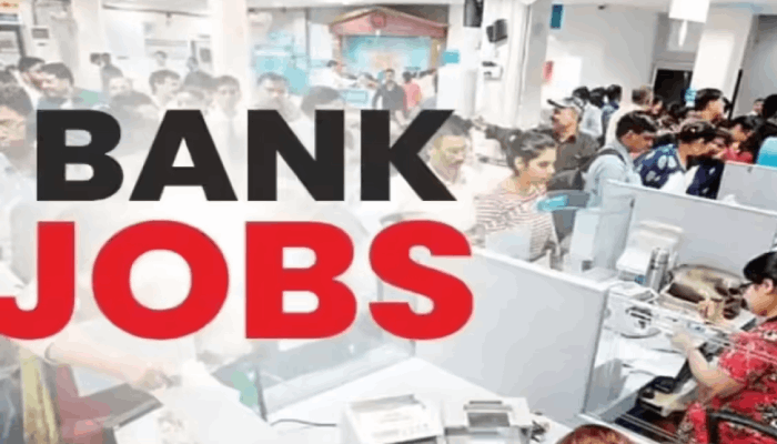 Bob job how to apply
