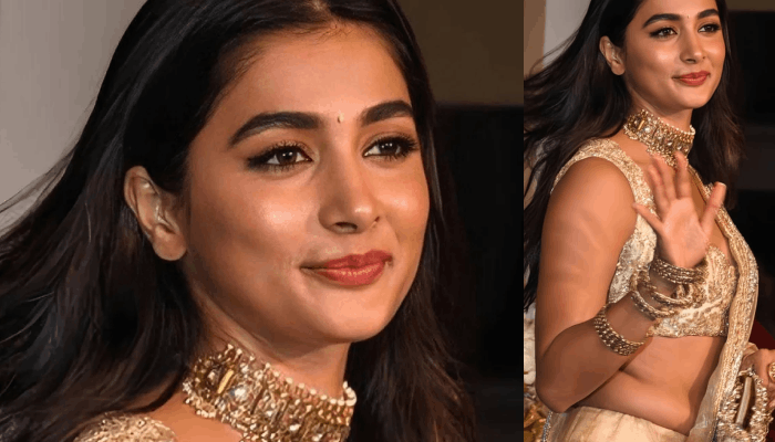 Poojahedgde lates video trending on internet